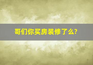 哥们你买房装修了么?