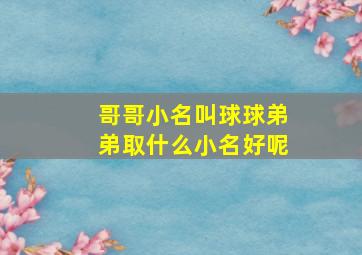 哥哥小名叫球球,弟弟取什么小名好呢