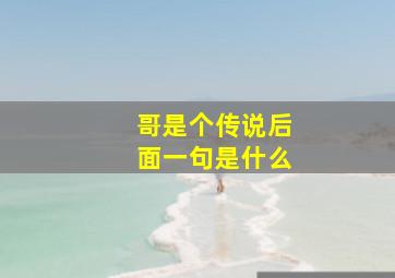 哥是个传说后面一句是什么