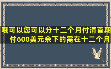 哦,可以,您可以分十二个月付清,首期付600美元,余下的需在十二个月...