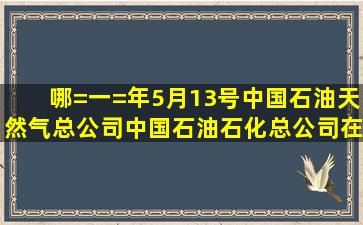 哪=一=年5月13号中国石油天然气总公司中国石油石化总公司在北京...