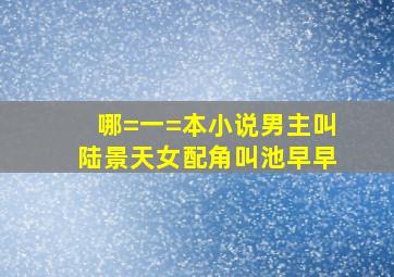 哪=一=本小说男主叫陆景天女配角叫池早早