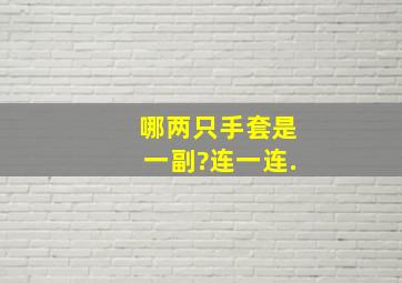 哪两只手套是一副?连一连.