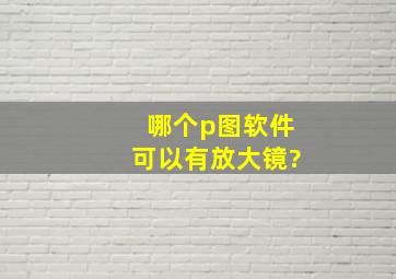 哪个p图软件可以有放大镜?