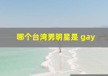 哪个台湾男明星是 gay