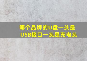 哪个品牌的U盘一头是USB接口,一头是充电头