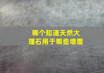 哪个知道天然大理石用于哪些墙面