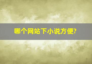 哪个网站下小说方便?