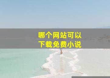 哪个网站可以下载免费小说(