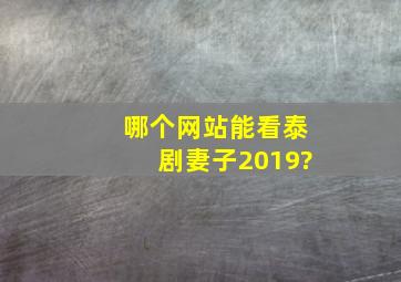 哪个网站能看泰剧妻子2019?