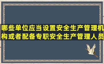 哪些单位应当设置安全生产管理机构或者配备专职安全生产管理人员