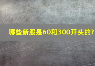 哪些新股是60和300开头的?