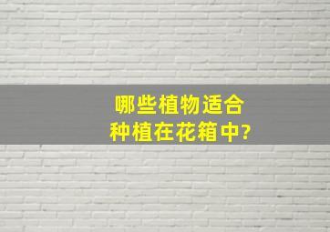 哪些植物适合种植在花箱中?