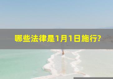 哪些法律是1月1日施行?