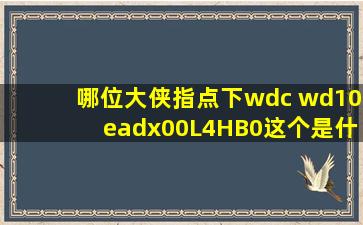 哪位大侠指点下wdc wd10eadx00L4HB0这个是什么盘?