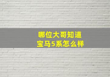 哪位大哥知道宝马5系怎么样