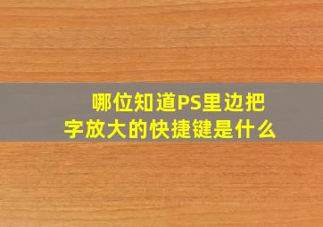 哪位知道PS里边把字放大的快捷键是什么