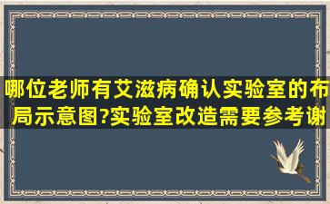 哪位老师有艾滋病确认实验室的布局示意图?实验室改造需要参考,谢谢!