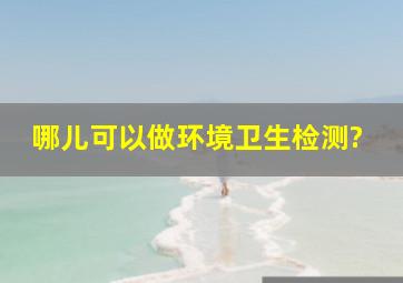 哪儿可以做环境卫生检测?