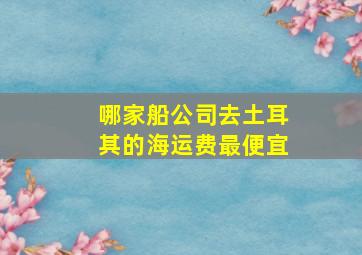 哪家船公司去土耳其的海运费最便宜