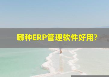 哪种ERP管理软件好用?