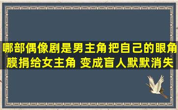 哪部偶像剧是男主角把自己的眼角膜捐给女主角 变成盲人默默消失