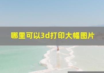 哪里可以3d打印大幅图片