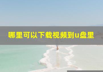 哪里可以下载视频到u盘里