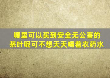 哪里可以买到安全无公害的茶叶呢,可不想天天喝着农药水。