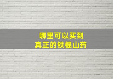 哪里可以买到真正的铁棍山药