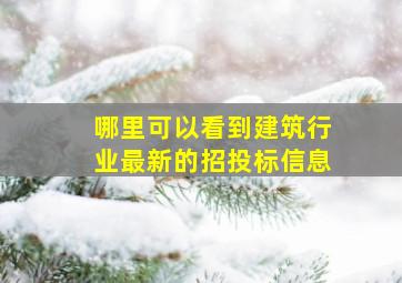 哪里可以看到建筑行业最新的招投标信息(