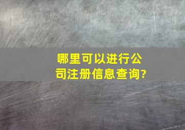 哪里可以进行公司注册信息查询?