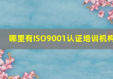 哪里有ISO9001认证培训机构