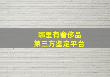 哪里有奢侈品第三方鉴定平台(