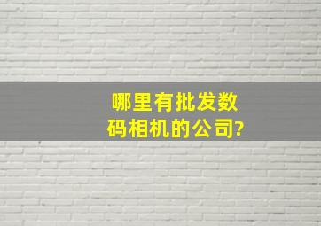 哪里有批发;数码相机的公司?