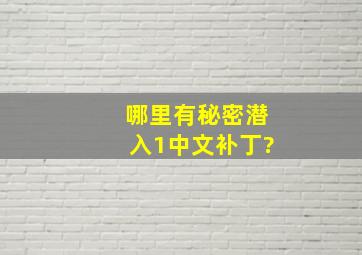 哪里有秘密潜入1中文补丁?