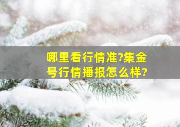 哪里看行情准?集金号行情播报怎么样?