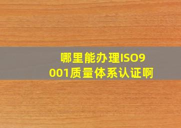 哪里能办理ISO9001质量体系认证啊(