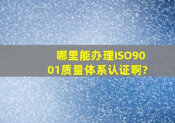 哪里能办理ISO9001质量体系认证啊?