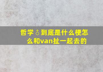 哲学♂到底是什么梗,怎么和van扯一起去的 