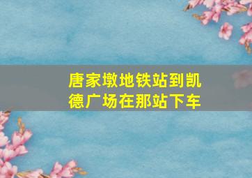 唐家墩地铁站到凯德广场在那站下车