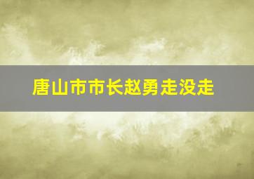 唐山市市长赵勇走没走