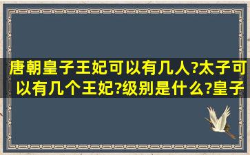 唐朝皇子王妃可以有几人?太子可以有几个王妃?级别是什么?皇子结婚...