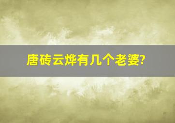 唐砖云烨有几个老婆?