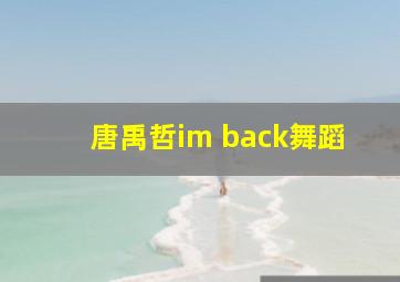 唐禹哲im back舞蹈