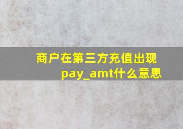 商户在第三方充值出现pay_amt什么意思