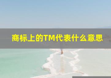 商标上的TM代表什么意思