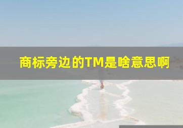 商标旁边的TM是啥意思啊