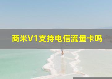 商米V1支持电信流量卡吗