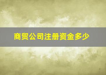 商贸公司注册资金多少